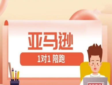 亚马逊1对1陪跑课(FBA/FBM精铺)跨境亚马逊教程插图