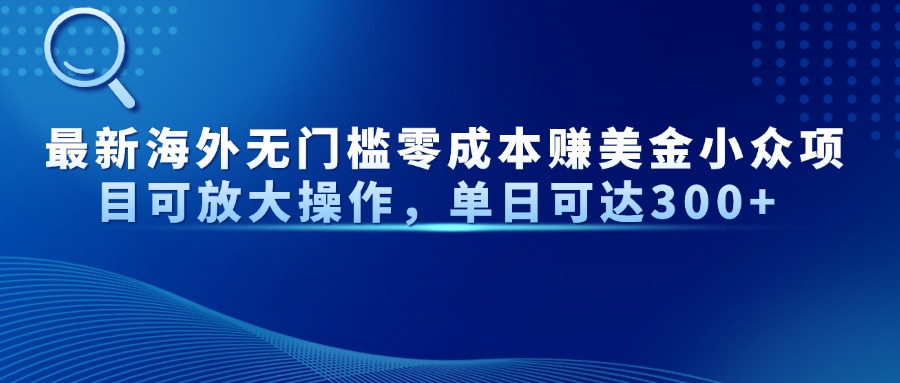 （14542期）最新海外无门槛零成本赚美金小众项目可放大操作，单日可达300+插图
