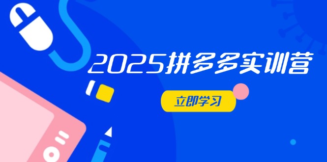 （14531期）2025拼多多实训营：深度剖析运营关键，助力电商人快速提升插图