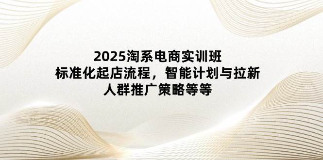 2025淘系电商实训班：标准化起店流程，智能计划与拉新，人群推广策略等等插图