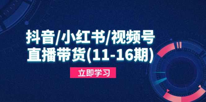 （14611期）抖音/小红书/视频号/直播带货（11-16期），快速掌握平台规则，打造爆款内容插图