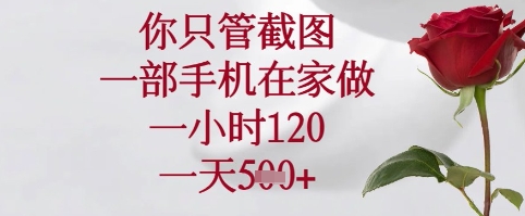 你只管截图，一部手机在家可以做，一小时120.一天5张+插图