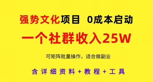 强势文化项目，一个社群收入25个W，0成本启动，可矩阵批量操作，原创详细实操教程插图
