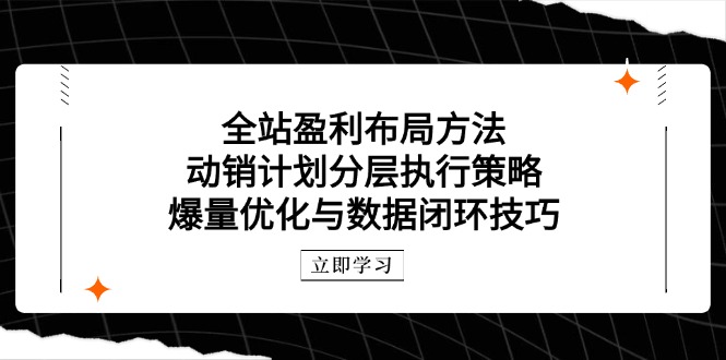 （14698期）全站盈利布局方法：动销计划分层执行策略，爆量优化与数据闭环技巧插图