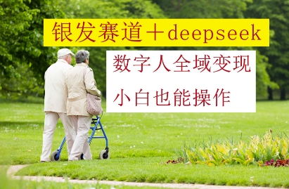 银发赛道+deepseek数字人全域变现，小白也能操作插图