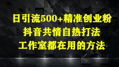日引流500+精准创业粉，抖音共情自热打法，工作室都在用的方法插图
