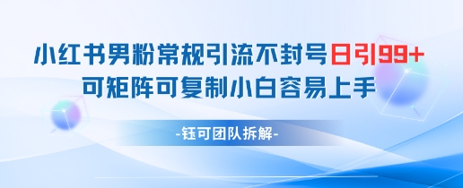 小红书男粉常规引流不封号日引99+变现简单 可矩阵可复制小白容易上手插图