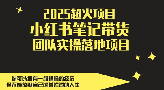 2025超火项目，副业最佳选择，小红书笔记带货团队实操落地项目，，轻松日入5张插图