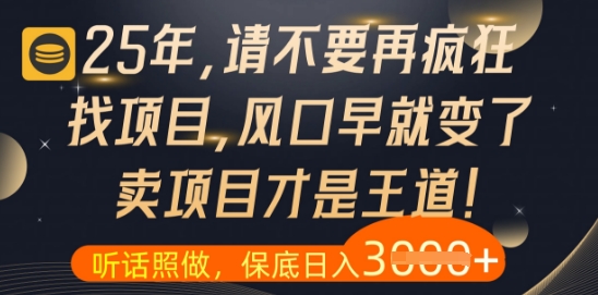 什么？25年你还在疯狂找项目做，醒醒吧，看完这些你全都懂了插图