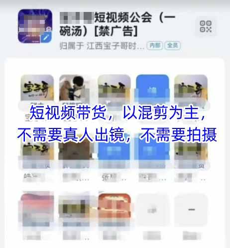 （14692期）2025短视频带货内训营，以混剪为主，不需要真人出镜，不需要拍摄插图1