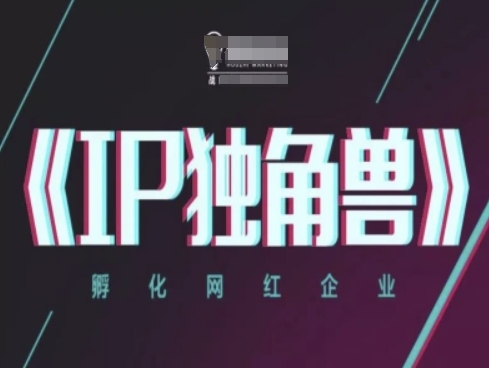 IP独角兽，孵化网红企业，ip教程插图