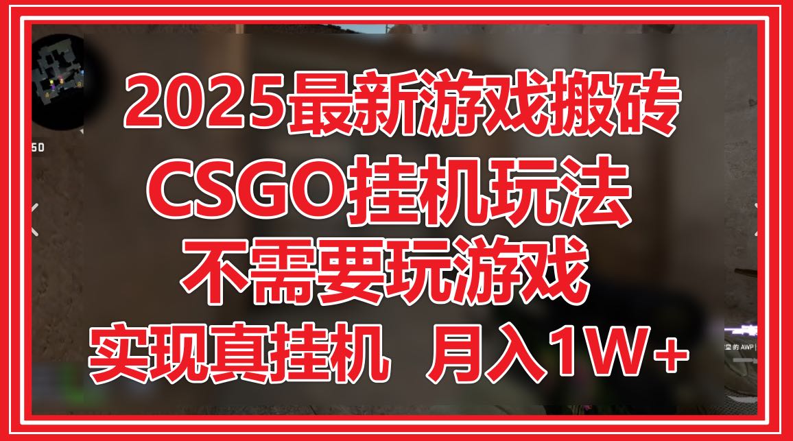 （14743期）2025最新游戏搬砖，CSGO挂机，不需要玩游戏，实现真挂机，月入1W+插图