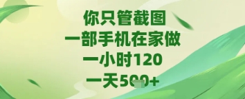 你只管截图，一部手机在家做，苹果安卓都可以，一天5张+插图