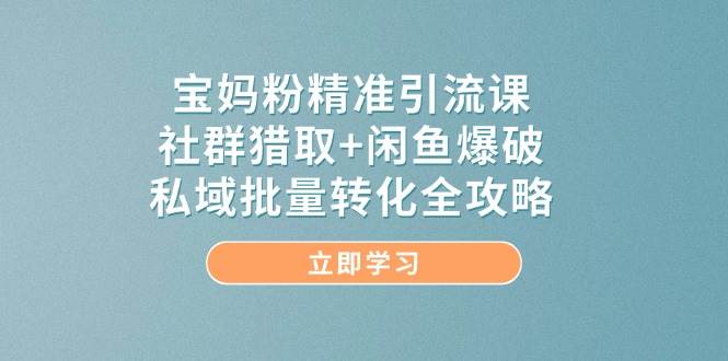 宝妈粉精准引流课，社群猎取+闲鱼爆破，私域批量转化全攻略插图