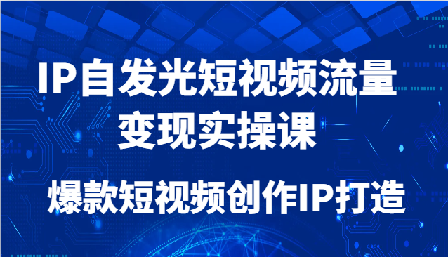 IP自发光短视频流量变现实操课，爆款短视频创作IP打造插图