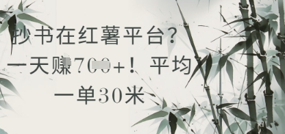 抄书在小红薯平台？平均一单30米，一天收益几张！插图