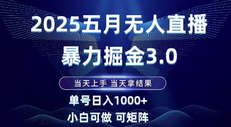 2025五月无人直播暴力掘金3.0，当天上手，当天拿结果，单号日入1k+小白可做可矩阵插图