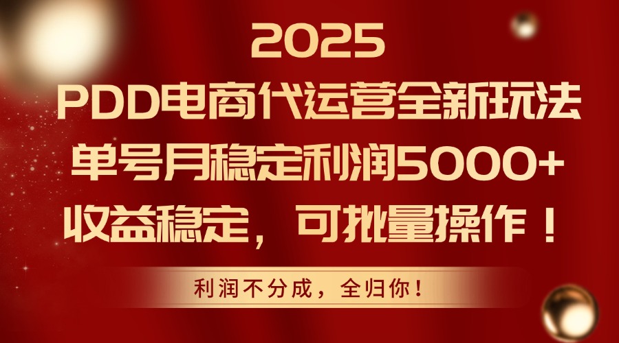 （14839期）2025PDD电商代运营全新玩法，单号月稳定利润5000+，收益稳定，可批量操作插图