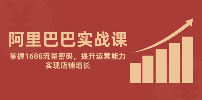 （14830期）阿里巴巴实战课：掌握1688流量密码，提升运营能力，实现店铺增长插图