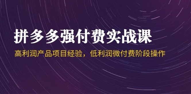 （14874期）拼多多强付费实战课-44期，高利润产品项目经验，低利润微付费阶段操作插图