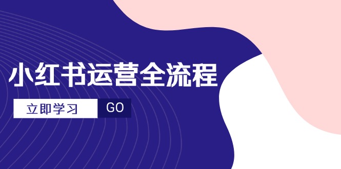 （14861期）小红书运营全流程，爆款选题文案，视频制作技巧，进阶达人宝典插图