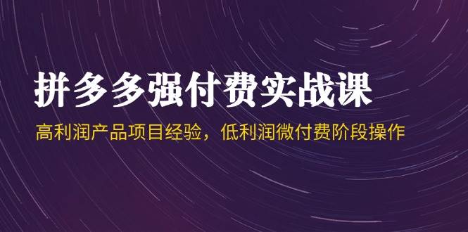 拼多多强付费实战课-44期，高利润产品项目经验，低利润微付费阶段操作插图