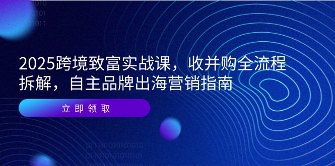（14975期）2025跨境致富实战课，收并购全流程拆解，自主品牌出海营销指南插图