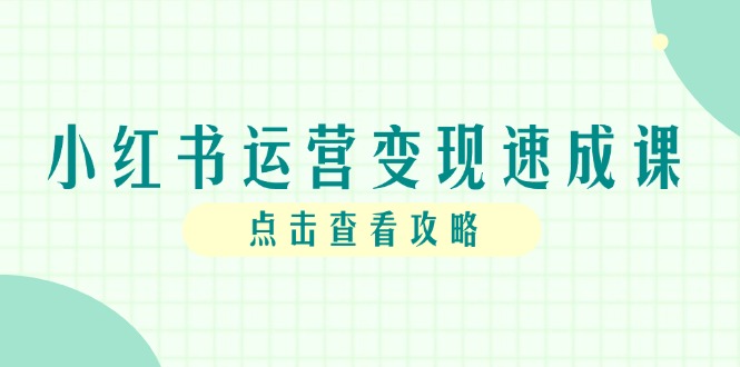 （14951期）小红书运营变现速成课，账号搭建到暴力起号，个人IP全流程指南插图