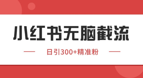 小红书截流同行客源，独家野路子获客玩法 日引200+暴力获客插图