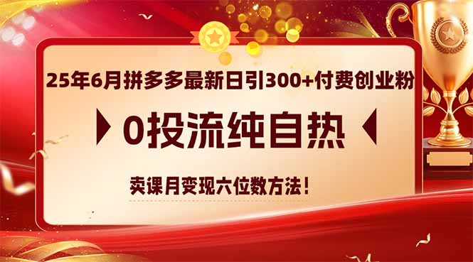 （14989期）25年6月拼多多最新日引300+付费创业粉，0投流纯自热 卖课月变现六位数方法插图