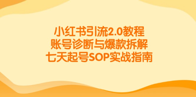 （14981期）小红书引流2.0教程，账号诊断与爆款拆解，七天起号SOP实战指南插图