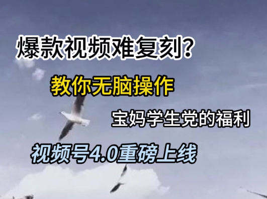 视频号4.0重磅上线，爆款视频难复刻？教你无脑操作宝妈学生党的福利插图
