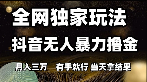 全网独家玩法抖音无人暴力撸金，月入3W，有手就行，当天拿结果插图