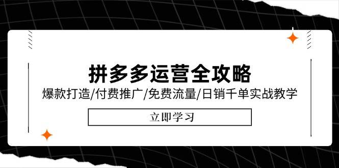 拼多多运营全攻略，爆款打造/付费推广/免费流量/日销千单实战教学/6月更新插图