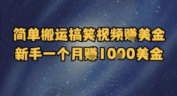 简单搬运搞笑视频挣美金，新手一个月入1k美金插图