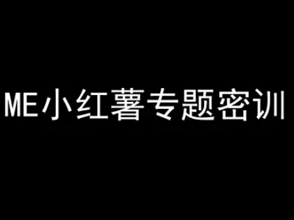 ME小红薯专题密训-小红书电商教程插图
