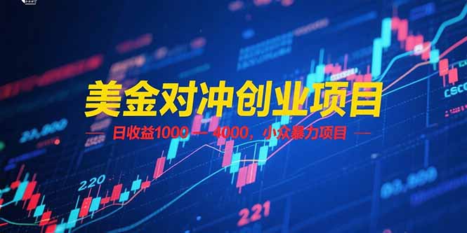 （15187期）美金对冲创业项目，日收益 1000 – 4000，小众暴力项目插图