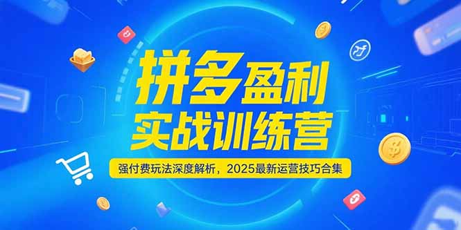 （15183期）拼多多盈利实战训练营，强付费玩法深度解析，2025运营技巧合集-更新6月插图