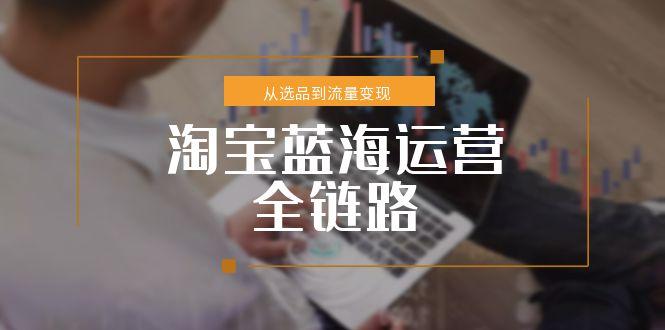 （15160期）淘宝蓝海运营全链路，从选品到流量变现，小类目突围完整方案插图