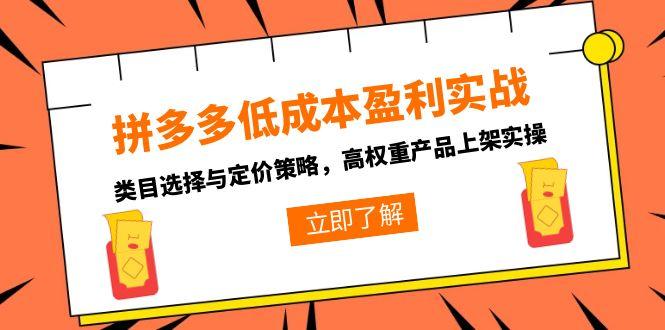 （15143期）拼多多低成本盈利实战，类目选择与定价策略，高权重产品上架实操插图