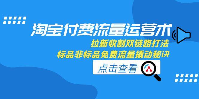 （15135期）淘宝付费流量运营术，拉新收割双链路打法，标品非标品免费流量撬动秘诀插图