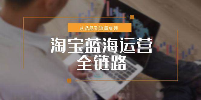 淘宝蓝海运营全链路，从选品到流量变现，小类目突围完整方案插图