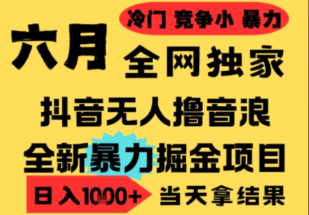 25年6月高爆抖音无人直播最新撸音浪掘金项目，小白可做，无脑日入1k+，门槛低可批量矩阵插图