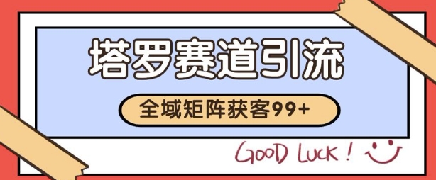 小红书某音塔罗赛道引流获客 自热矩阵日引200+插图