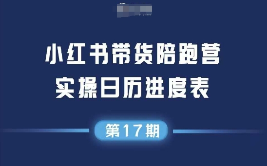小红书第17期带货陪跑营，不囤货，无不直播，无不投流，通过选品+笔记内容+测品+笔记铺量+矩阵运营打爆款插图
