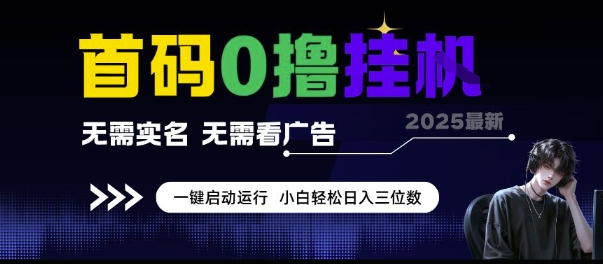 首码0撸挂G项目，无需实名无需看广告 一键启动运行，小白轻松日入三位数插图