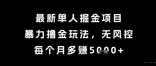 最新单人掘金项目，暴力撸金玩法，无风控，每个月多挣5k+插图