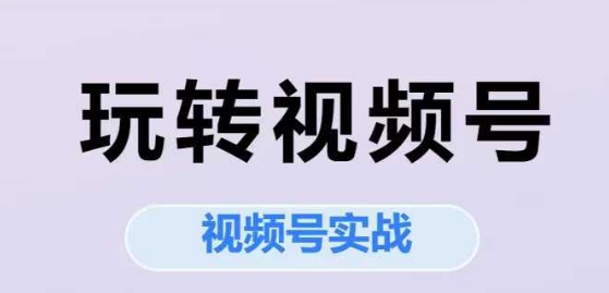 玩转视频号，视频号实战系列课插图
