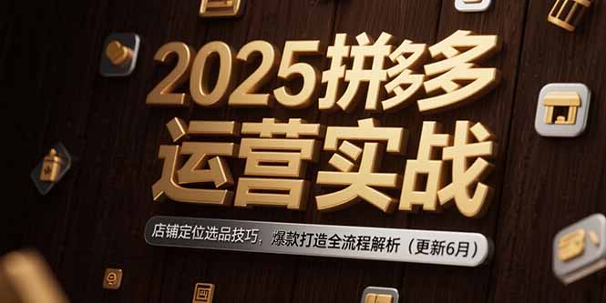 （15235期）2025拼多多运营实战：店铺定位选品技巧，爆款打造全流程解析（更新6月）插图