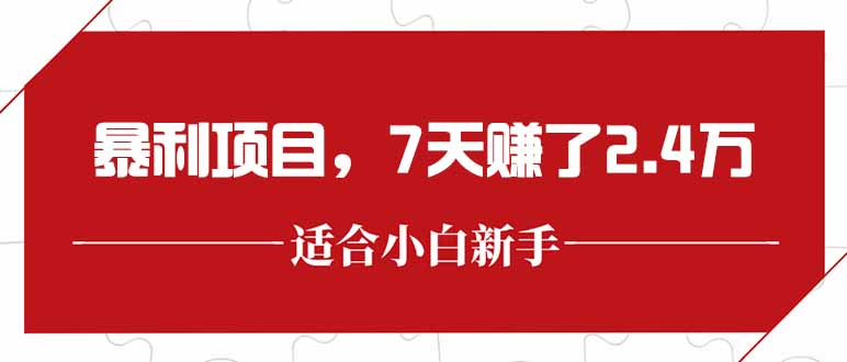（15228期）最新暴利项目，每单收益轻松在300以上，7天赚了2.4万插图